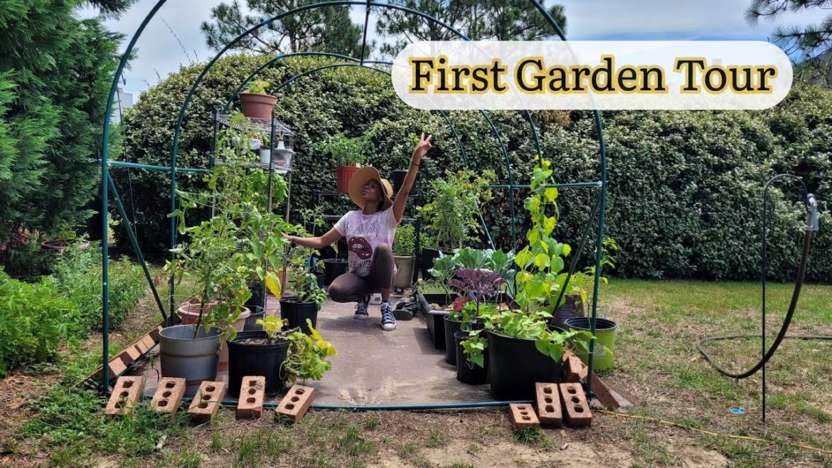 Black Girls Garden: Backyard Garden Tour Black Girls Garden: Backyard Garden Tour