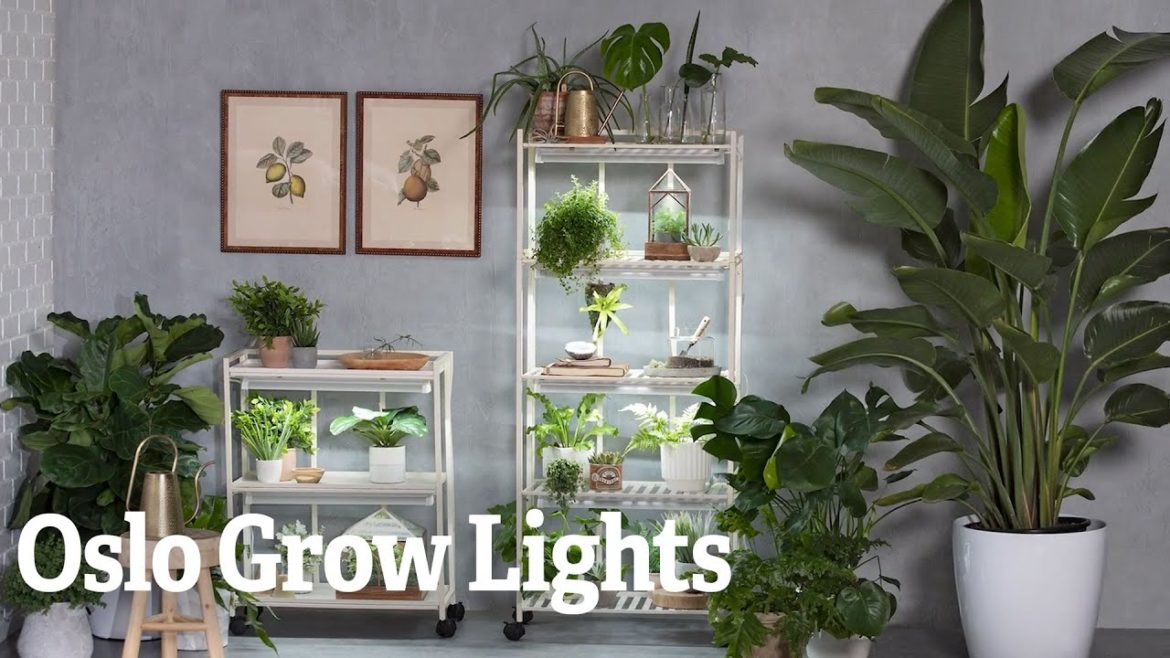 Oslo Grow Lights | Gardener's Supply