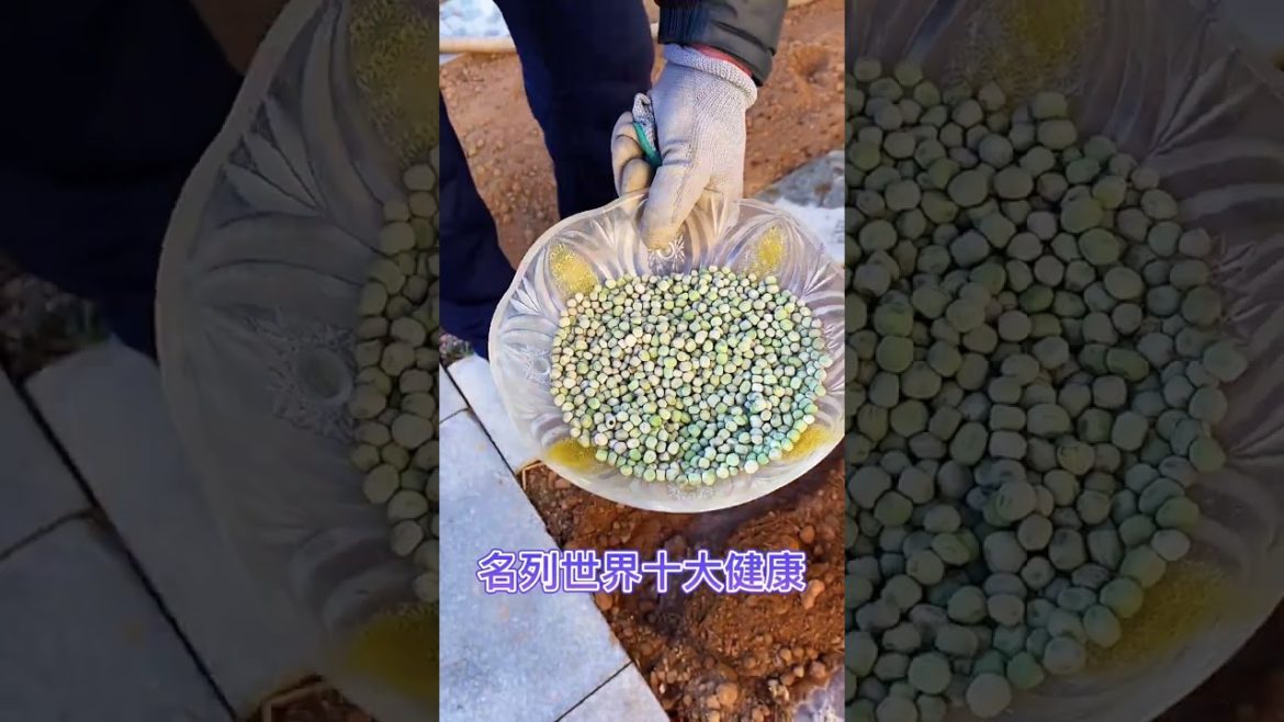 Tips for Growing Vegetables