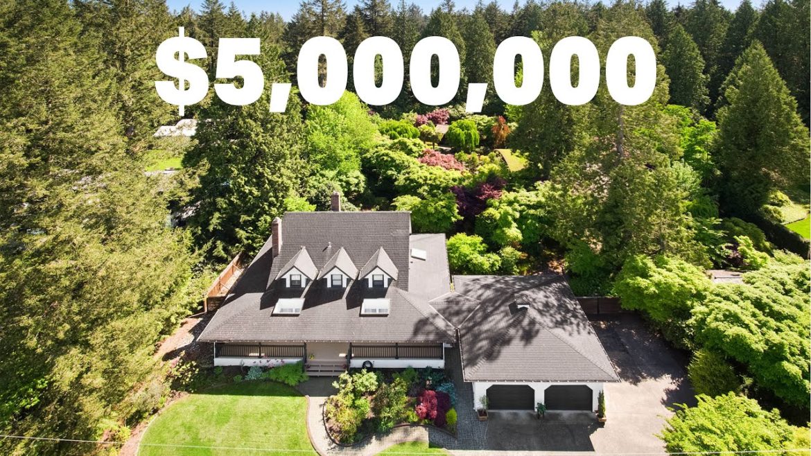 Thyme on 43rd Japanese Zen Garden by Hayato Ogawa | $5,000,000 Thyme on 43rd Japanese Zen Garden by Hayato Ogawa | $5,000,000