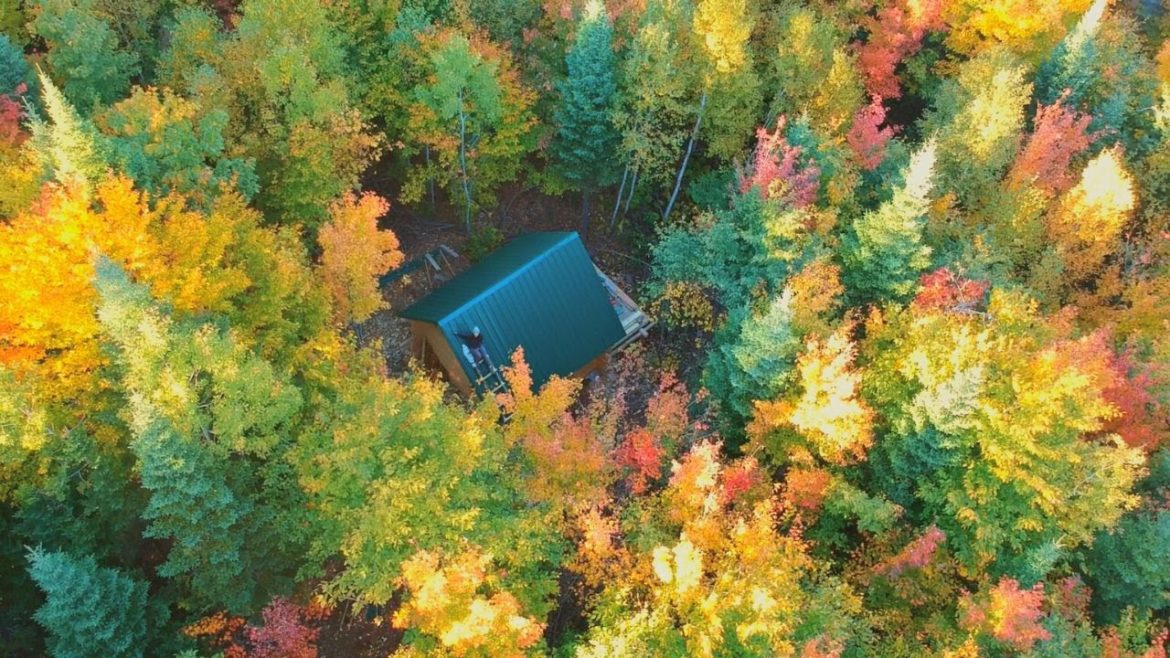 Building A Log Cabin | Ep. 37 | The roof is DONE! Fall colors are here | Gardening mistakes