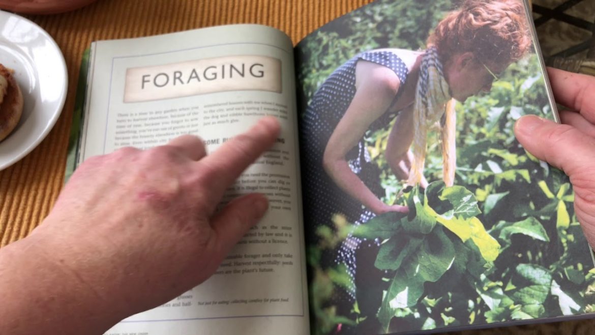 The Edible Garden Book Review