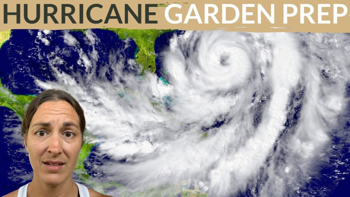 How To Prepare a Garden for Hurricane + Post Hurricane Garden Care