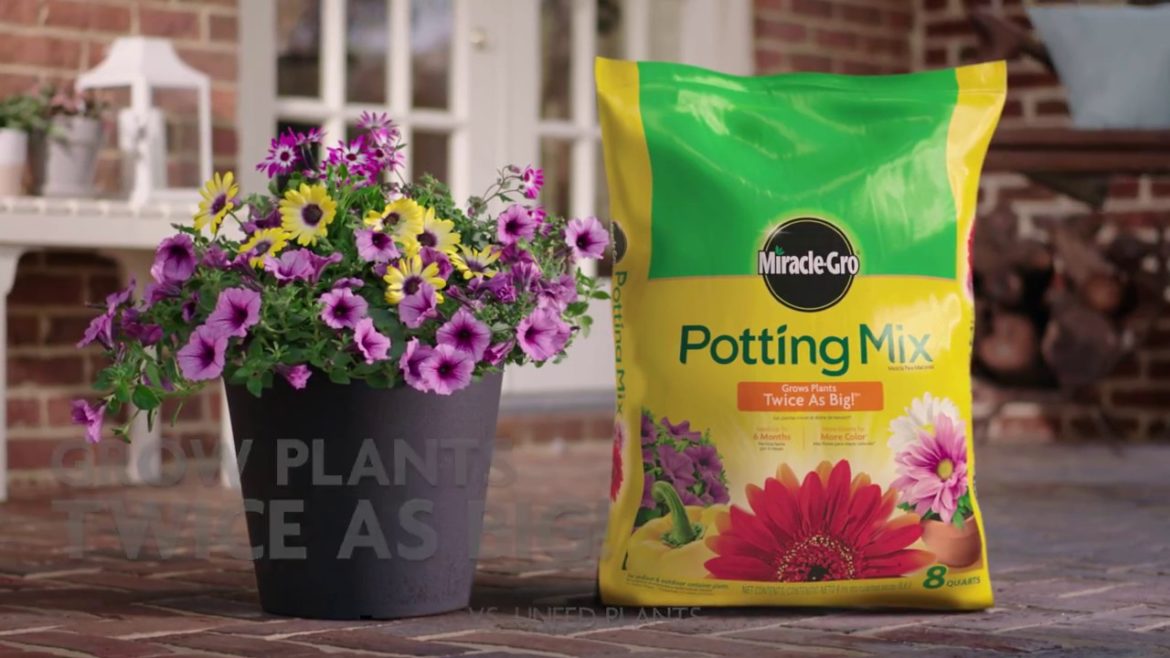 How to Use Miracle-Gro® Potting Mix for Container Gardening How to Use Miracle-Gro® Potting Mix for Container Gardening