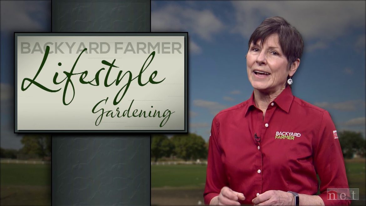 Lifestyle Gardening:   Peach Tree Care and Vertical Gardening