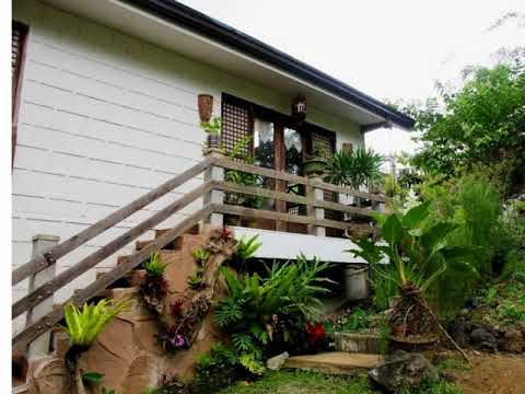 Small house garden Small house garden