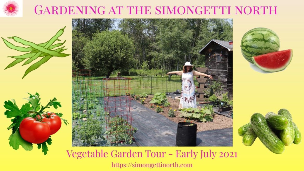 Vegetable Garden Tour - Early July 2021 🍅🥒🌽🥬//Gardening at the Simongetti North