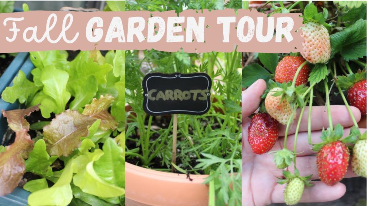 Fall Container Garden Tour | Urban Balcony Garden Fall Container Garden Tour | Urban Balcony Garden