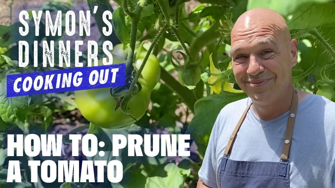 Tomato Gardening Tips with Michael Symon | Symon's Dinners Cooking Out | Food Network