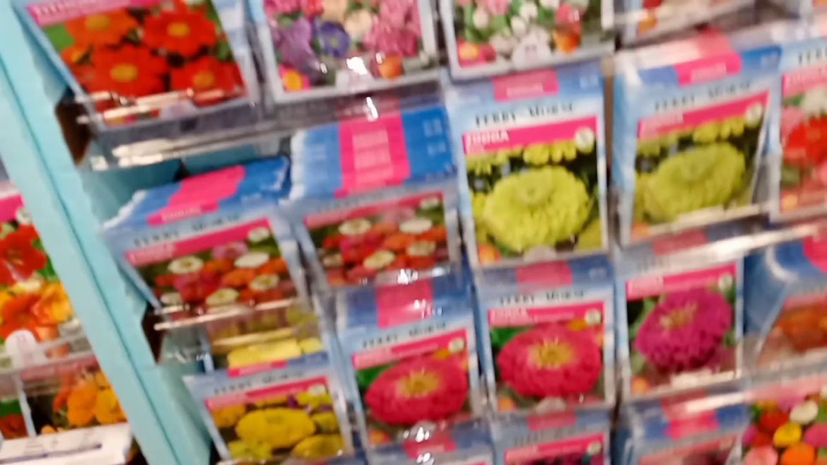 Gardening Seeds At Lowes. Out Getting Supplies While They are Available.  Vegetable Gardening 2021