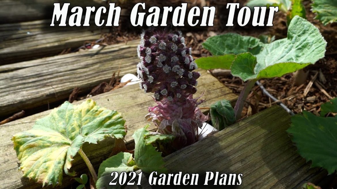 March Garden Tour! 2021 Garden Plans