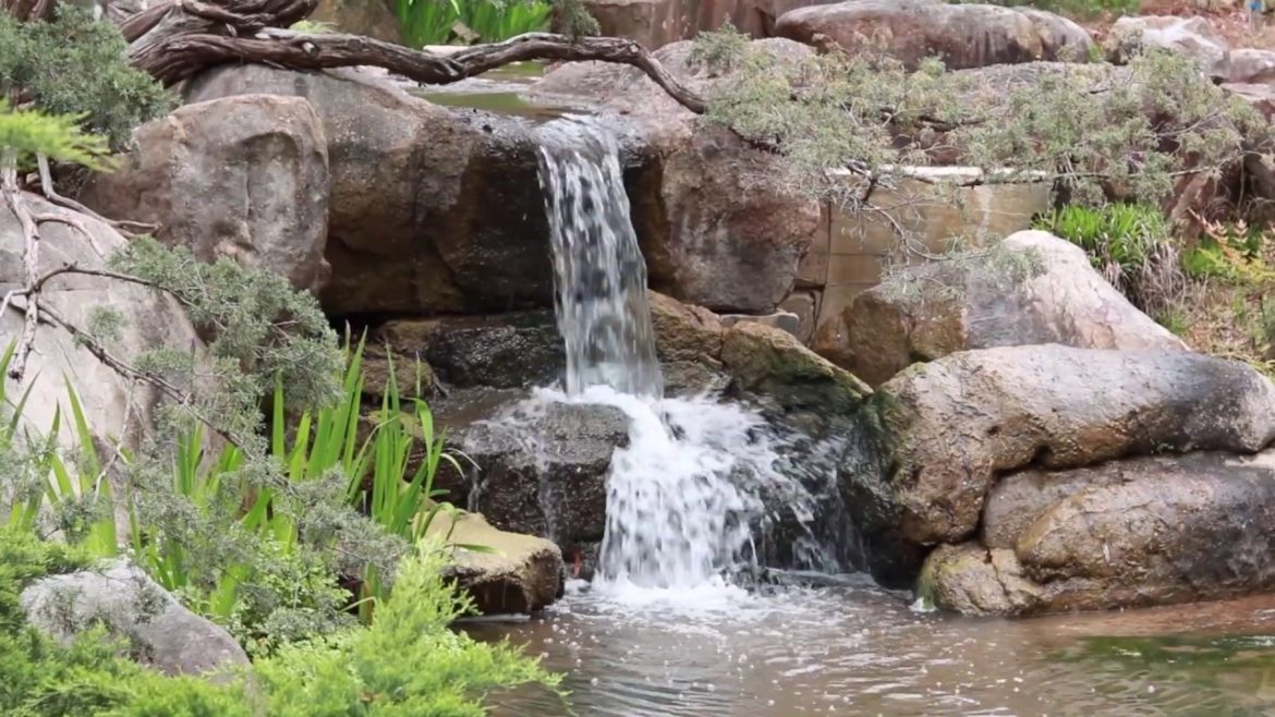 Explore the Japanese Garden | Virtual Visit