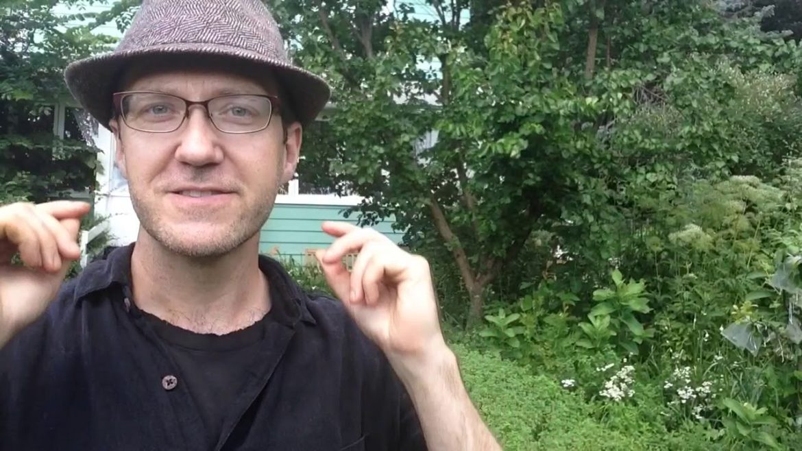 Do Nothing Gardening Designing Edible Ecologies