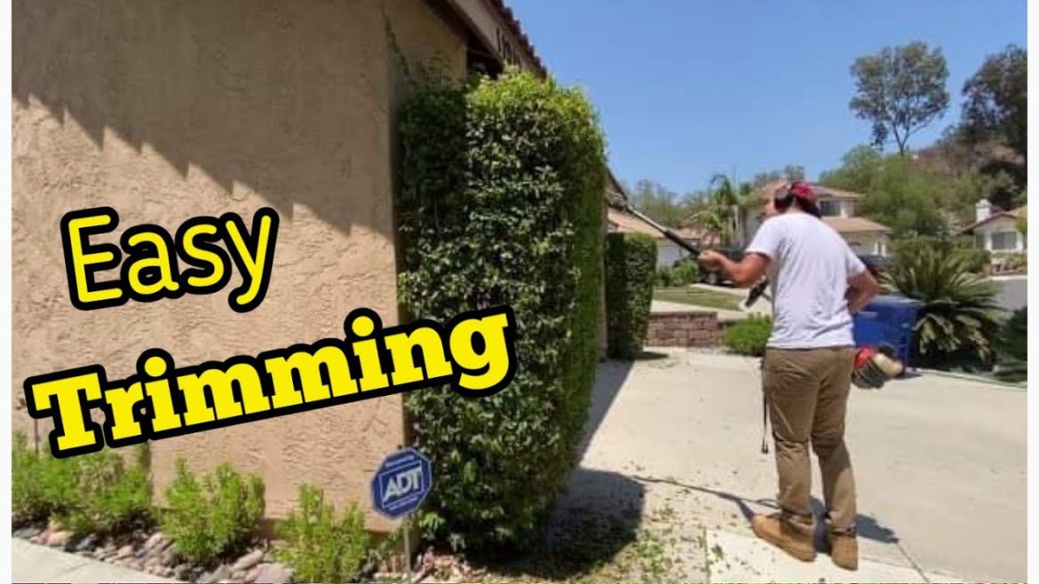 Low Maintenance Small Front Yard Landscaping