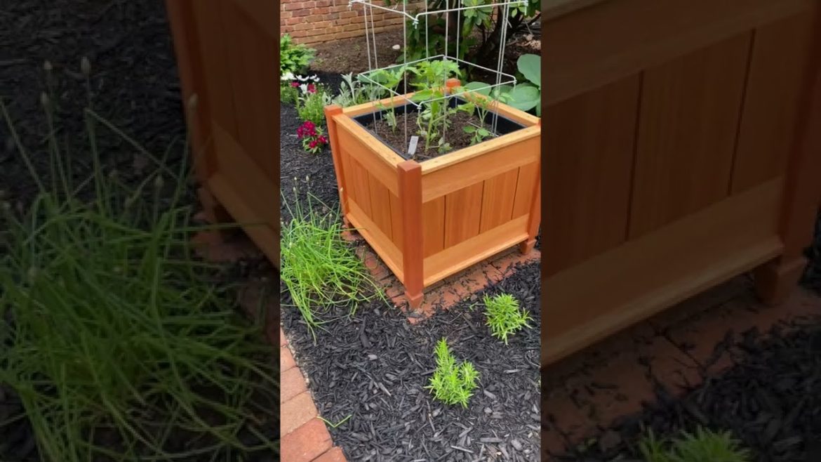 Brick Path to the Garden Bench - Plans Available #shorts