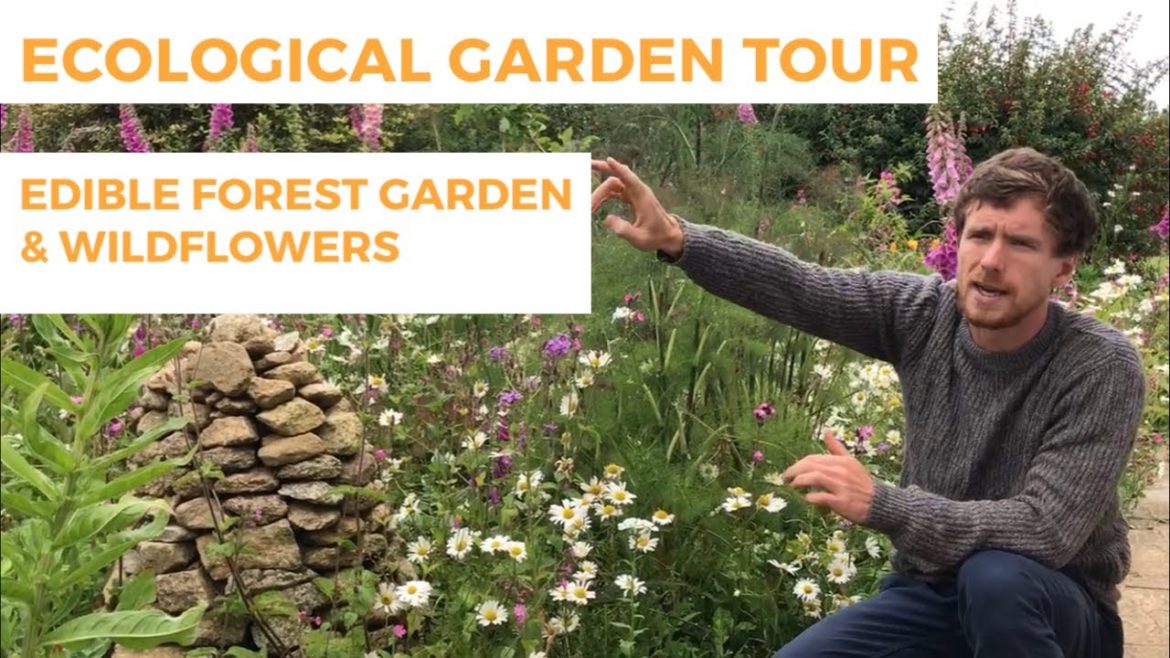 Ecological Garden Tour: Permaculture, Edible Forest Gardening & Wildflowers