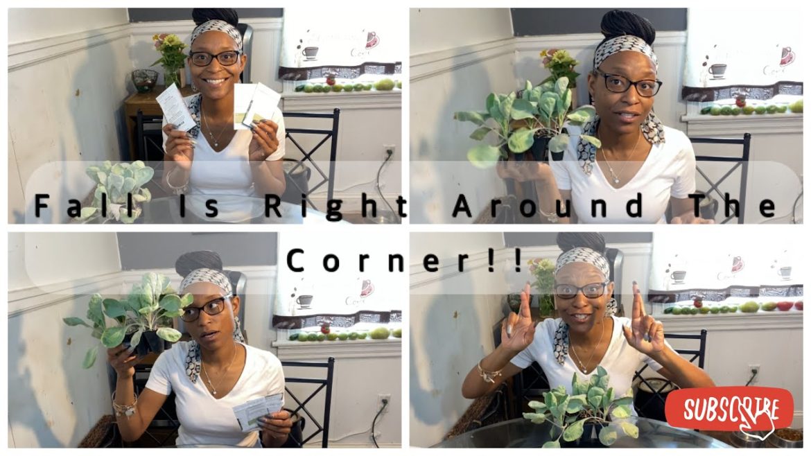 Fall Garden Plans | Seed Starting Tips