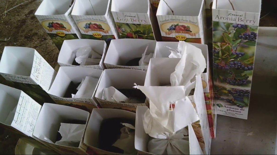 Clearance Gardening Goodies at Tractor Supply Clearance Gardening Goodies at Tractor Supply