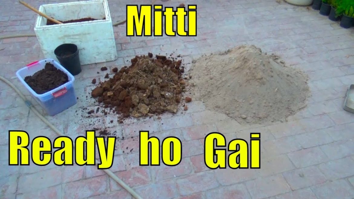 Soil Ki Preparing Bi Kr Di Main Ne || Vegetable Gardening K Lye I Am Ready