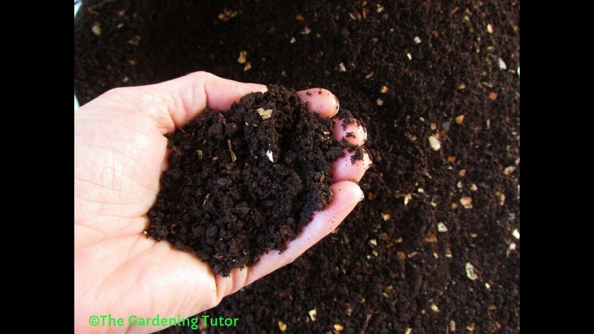 Mulch vs Compost by The Gardening Tutor-Mary Frost Mulch vs Compost by The Gardening Tutor-Mary Frost