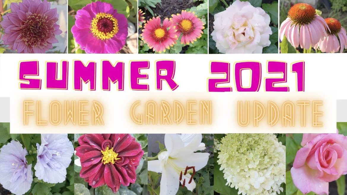 🌼 🌺Summer Flower Garden 2021 🌺🌼 | Front Yard Garden Ideas   // Lovely Garden
