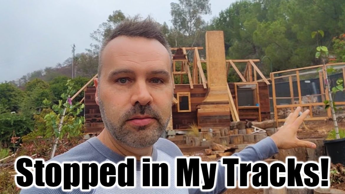 Cottage Garden Flowers and Update/Design