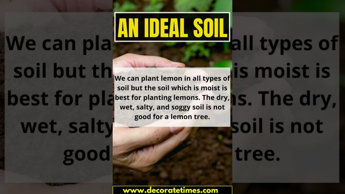 Gardening 166 #shorts