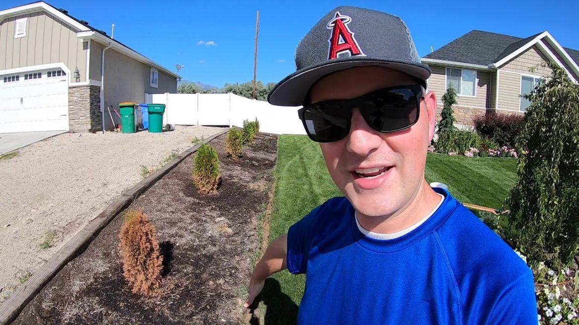 Creating a Natural Edge on My Shared Property Line