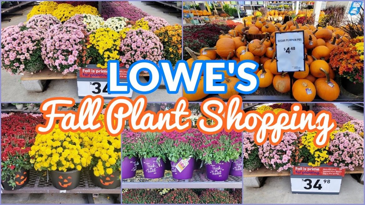 LOWE'S GARDEN CENTER FALL PLANTS SHOP WITH ME PLANT SHOPPING