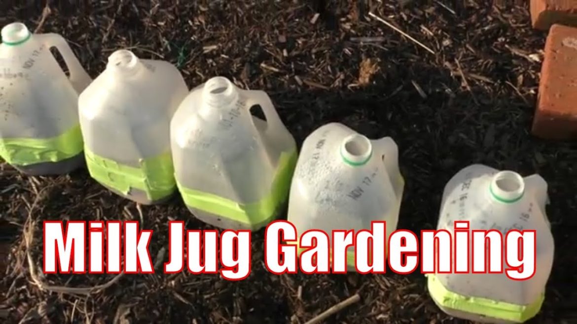 Erv's Complete Milk Jug Gardening Guide