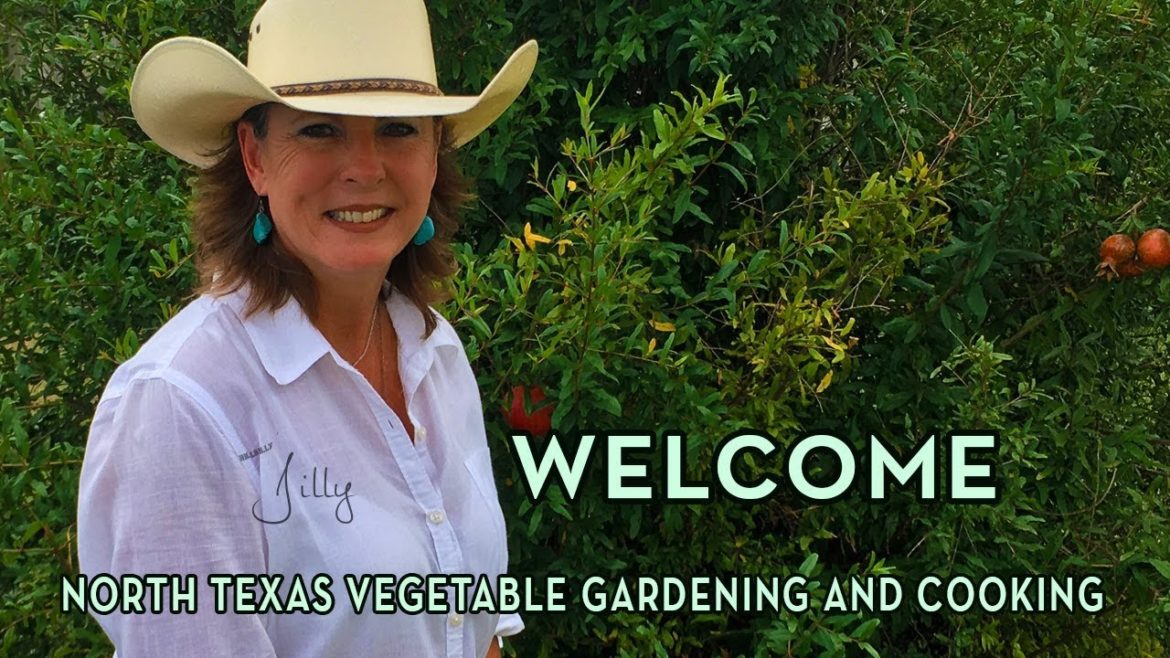 Welcome to North Texas Vegetable Gardening and Cooking with Hillbilly Jilly