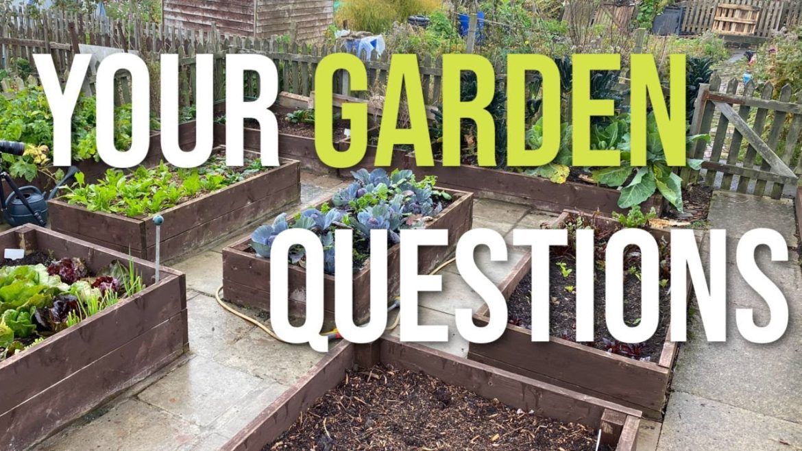 All Gardening Topics - Garden Tips for March. Seeds to sow in March. Garden Jobs