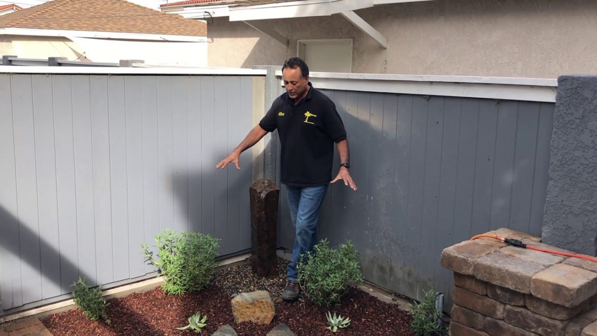 Tiny backyard landscape has it all