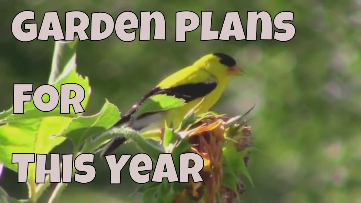 Garden Plans For The New Year -  What's New and What's Coming Back.