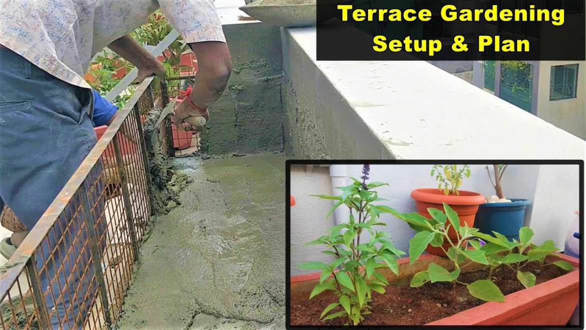 Space Utilization and Planning For Terrace garden - A2Z Construction