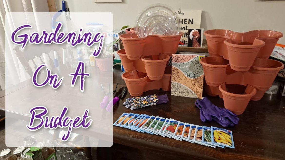 Dollar Tree Gardening | Seed & Supply Haul | Garden On A Budget