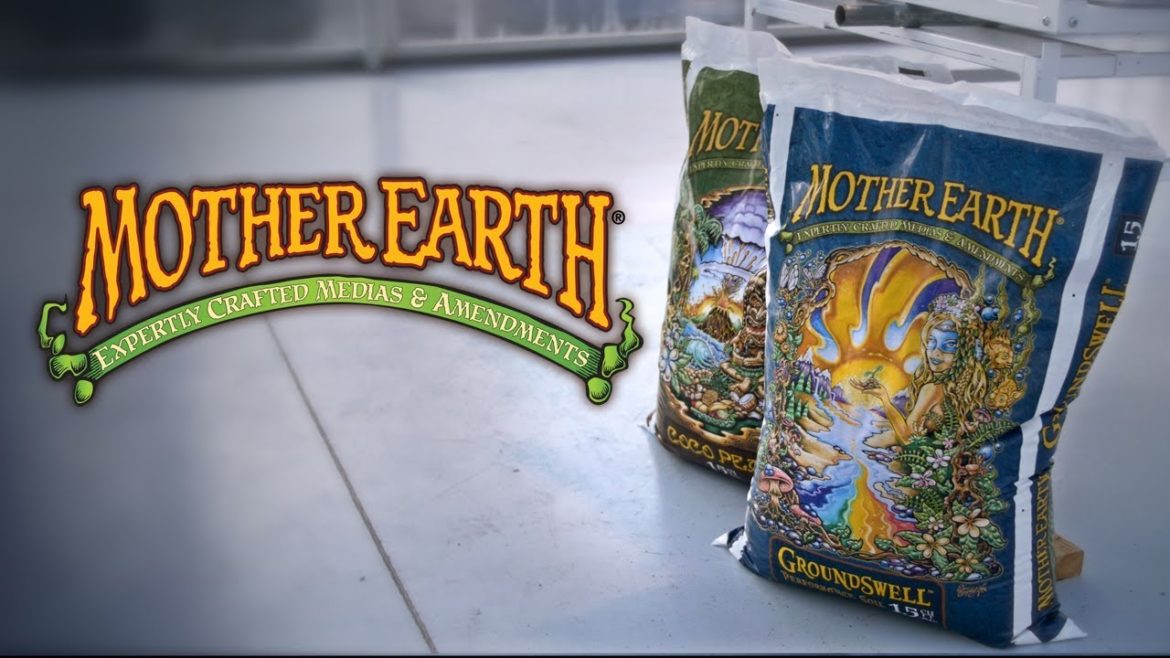 BEST Indoor Gardening Soils