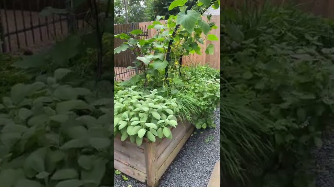 How to Get a Beautiful Garden Design in Less Than 14 days How to Get a Beautiful Garden Design in Less Than 14 days