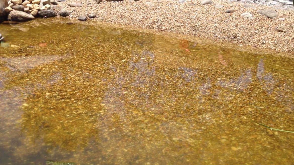 Miami Japanese Garden water feature