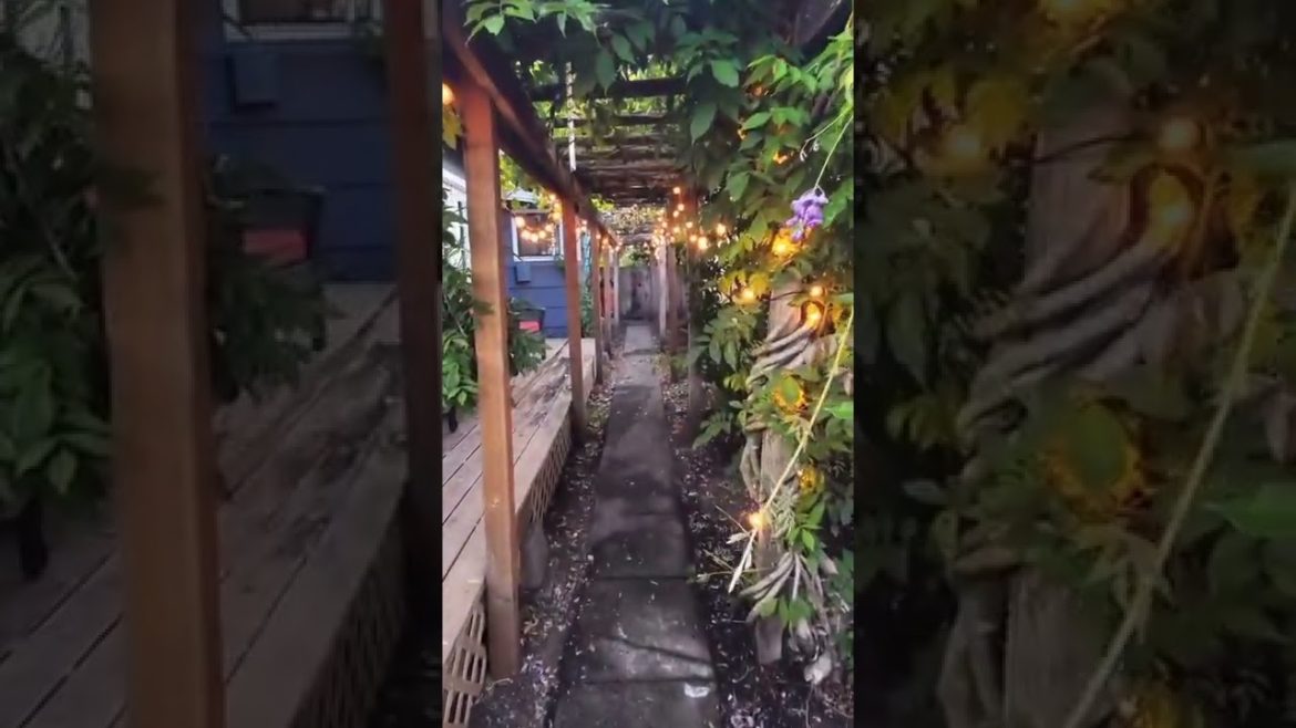 Garden Tour Tiktok cottagedreams