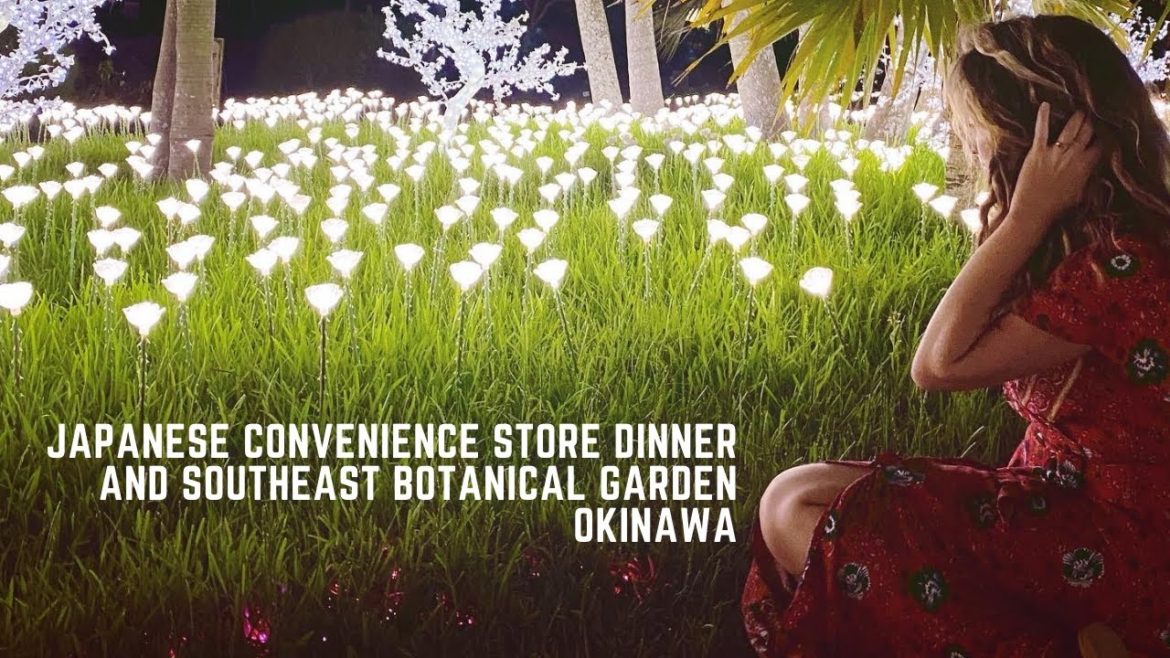 Japanese Convenience Store Dinner and Southeast Botanical Garden Light Show Japanese Convenience Store Dinner and Southeast Botanical Garden Light Show