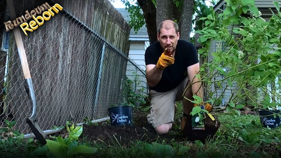 Complete Backyard Landscape Installation On A Budget – Planting A Living Fence To Hide The Neighbors Complete Backyard Landscape Installation On A Budget - Planting A Living Fence To Hide The Neighbors