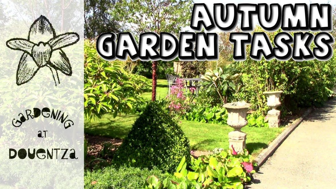 Autumn Garden Tasks & Plans - some definites & some maybes