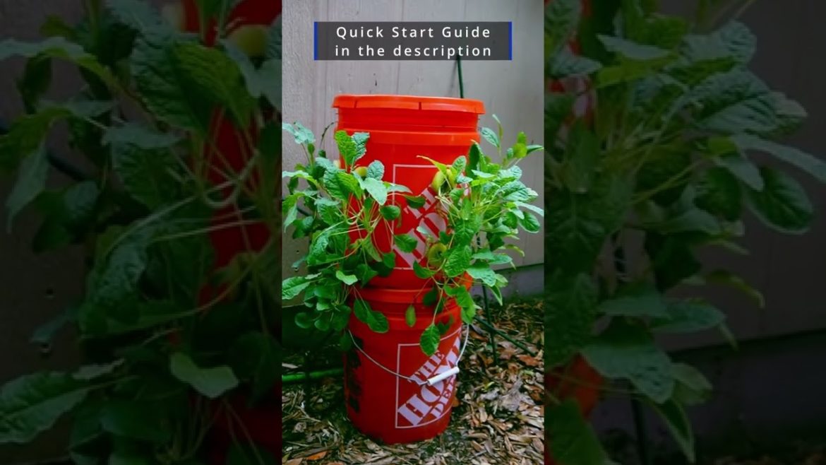 Tiny Garden Tower  DIY Hydroponics