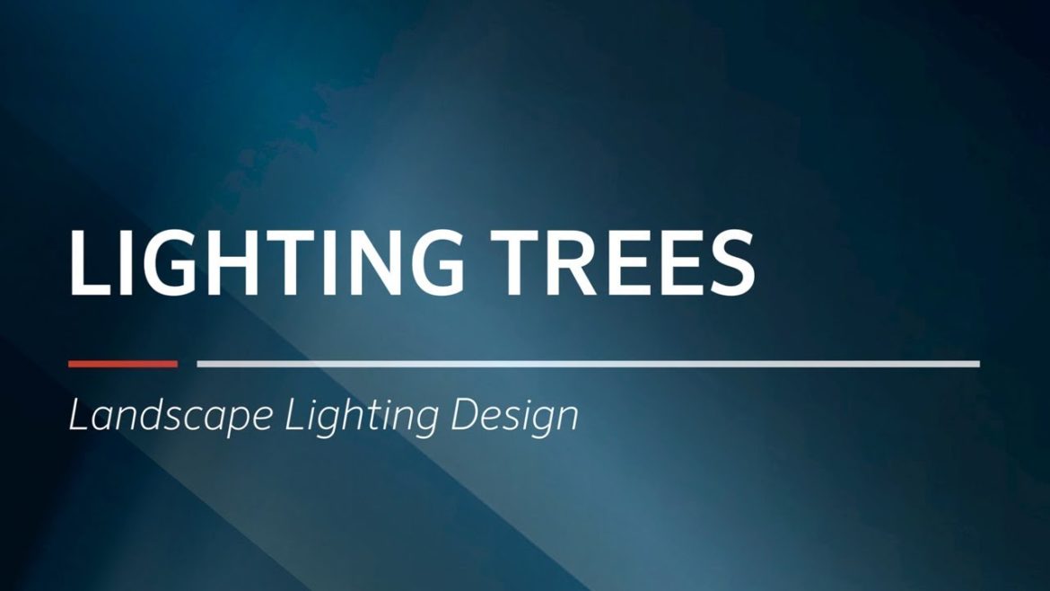 Lighting Trees  | Landscape Lighting Design by FX Luminaire