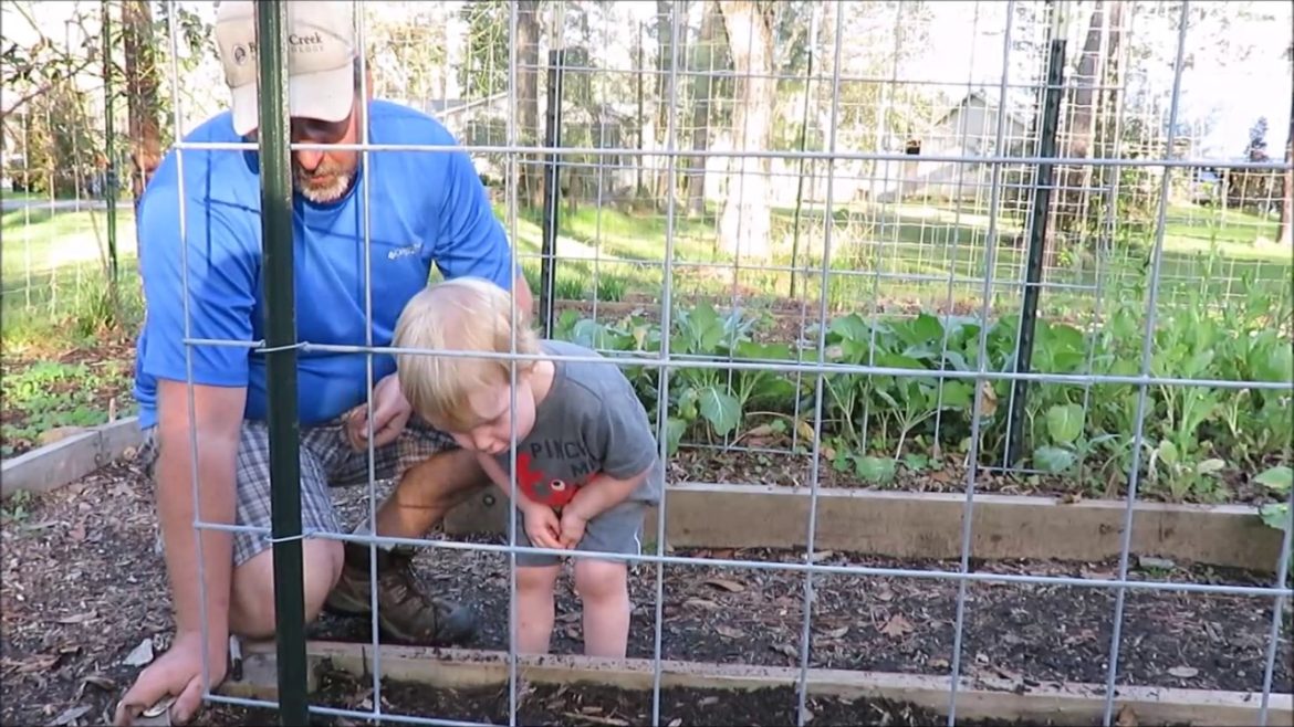Toddler Plants Seeds!! | Edible Gardening