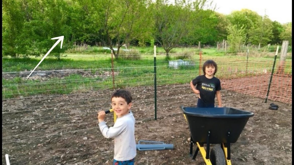 Garden Plans & Goals | 2021