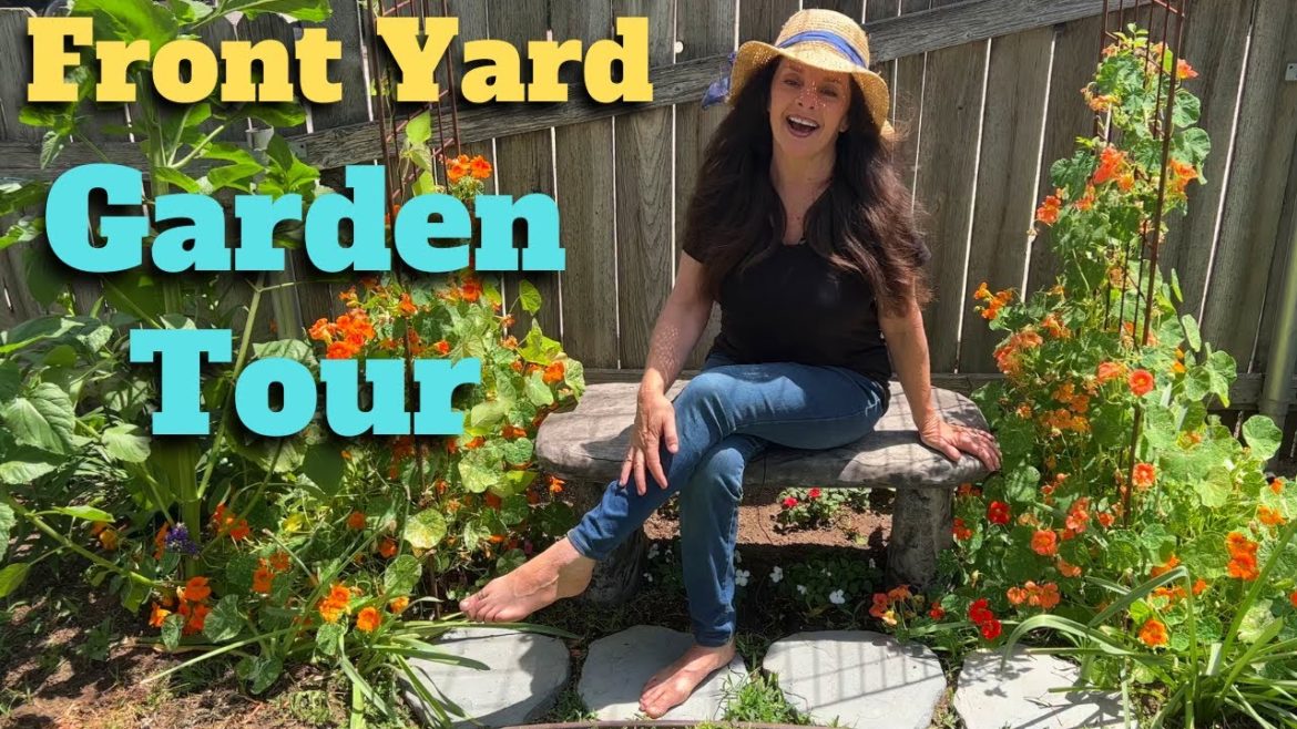 Front Yard Garden Tour - Lots of Color & Blooms!