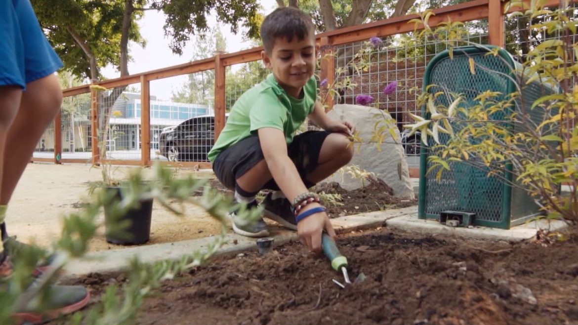 Woodland's Edible Learning Garden