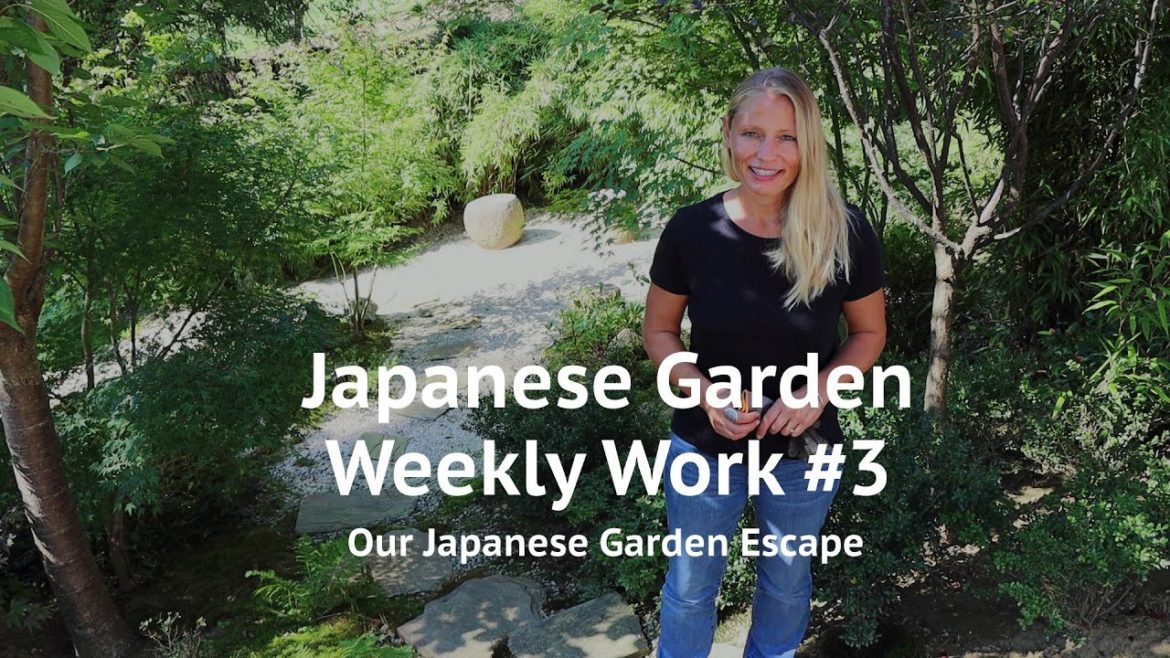 Japanese Garden Weekly Work – Episode 3 | Our Japanese Garden Escape Japanese Garden Weekly Work - Episode 3 | Our Japanese Garden Escape